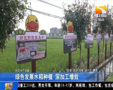 绿色发展水稻种植 深加工增效