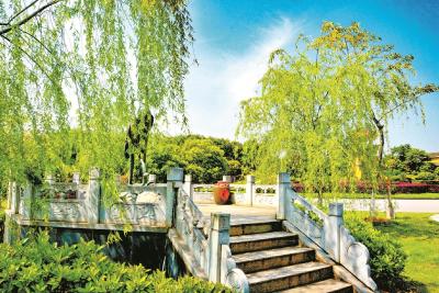 避暑登高观星空 咸宁景区升级玩法带来全新体验
