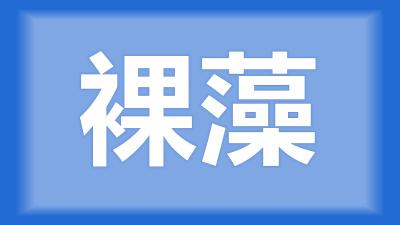 荆州市刘师傅：鱼塘含大量裸藻，用什么方法解决裸藻中毒？