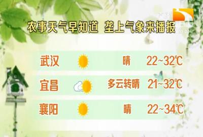 垄上气象站 2021-06-06