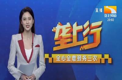 垄上行 2021-06-19