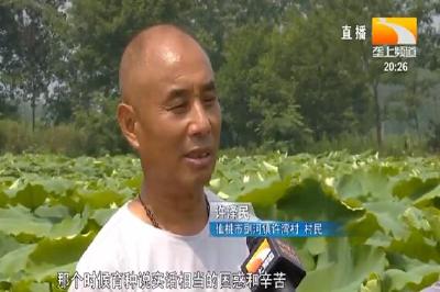 许泽民: 从田埂上走来的水生蔬菜土专家