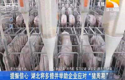 提振信心 湖北将多措并举助企业应对“猪周期”