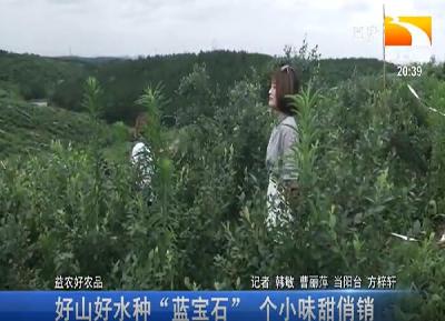 好山好水种“蓝宝石” 个小味甜俏销