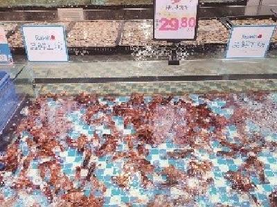 夏日消费旺季却货源短缺 大规格小龙虾半月涨价四成