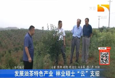 发展油茶特色产业 林业硕士“云”支招