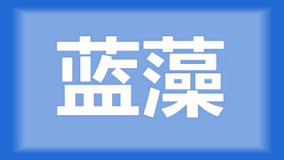 荆州市曾师傅：虾稻田水面被蓝藻覆盖，对小龙虾有没有影响？