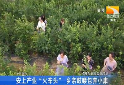 安上产业“火车头” 乡亲鼓腰包奔小康