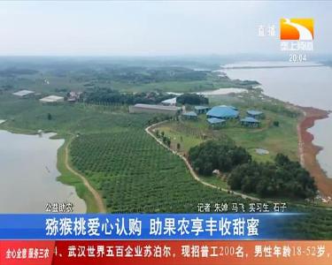 猕猴桃爱心认购 助果农享丰收甜蜜