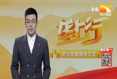 垄上行 2021-07-05