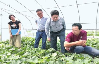 上半年荆州农业农村系统引进亿元以上涉农项目35个
