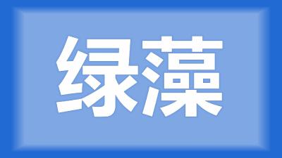 仙桃市陈师傅：沟渠水质臭，塘里绿藻开始暴发，怎么除？