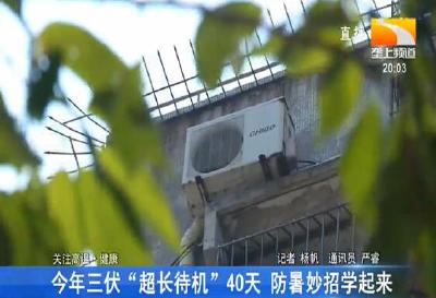 今年三伏 “超长待机” 40天 防署妙招学起来