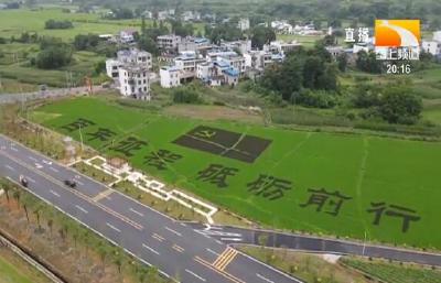 咸宁崇阳：巨幅党旗现身稻田 庆祝建党百年