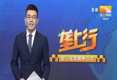 垄上行 2021-07-19