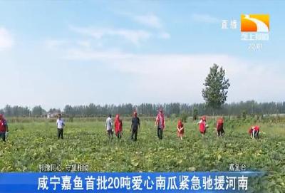 咸宁嘉鱼首批20吨爱心南瓜紧急驰援河南