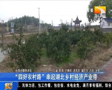 “四好农村路” 串起湖北乡村经济产业带