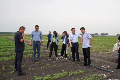 湖北建立耕地保护全链条监管机制 推行“田长制”