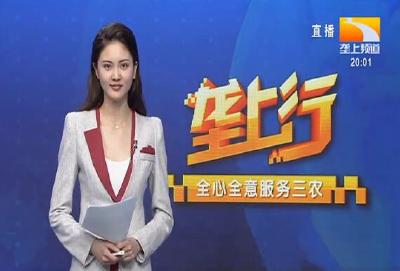 垄上行 2021-07-18