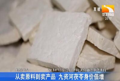 从卖原料到卖产品 九资河茯苓身价倍增