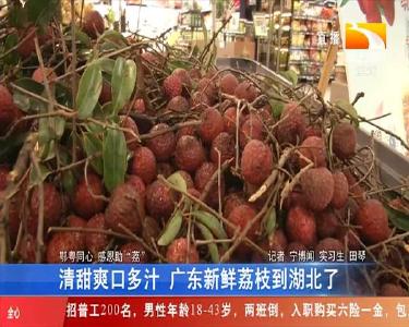 清甜爽口多汁 广东新鲜荔枝到湖北了