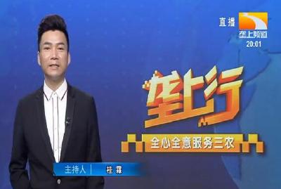 垄上行 2021-07-24