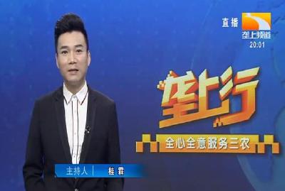 垄上行 2021-08-28