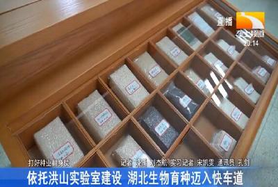 依托洪山实验室建设 湖北生物育种迈入快车道