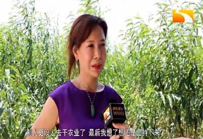 誓把草窝变金窝 这位女能人不一般