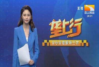 垄上行 2021-08-11