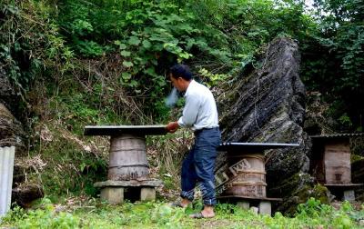 郧西老农古法养蜂记：百花酿蜜日子甜