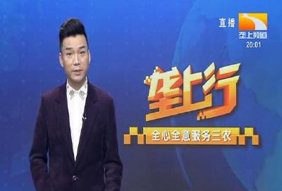 垄上行 2021-08-15