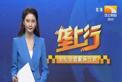 垄上行 2021-08-09