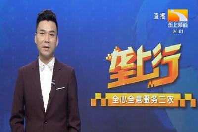 垄上行 2021-08-17