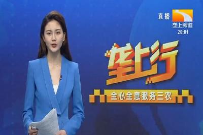 垄上行 2021-08-29