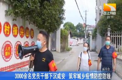 3000余名党员干部下沉咸安 筑牢城乡疫情防控防线