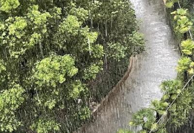 遭受强降雨袭击 宜城迅速启动应急响应开展救灾