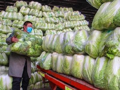 武汉“菜篮子”供应充足 日均采收7400吨