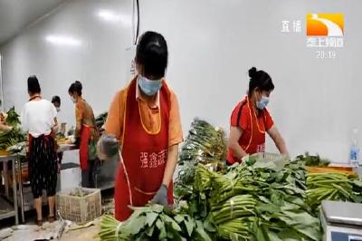 保障 “菜篮子” 做优“菜园子” 两小时鲜菜可直达市民手中