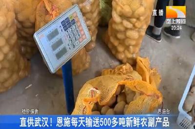 直供武汉! 恩施每天输送500多吨新鲜农副产品