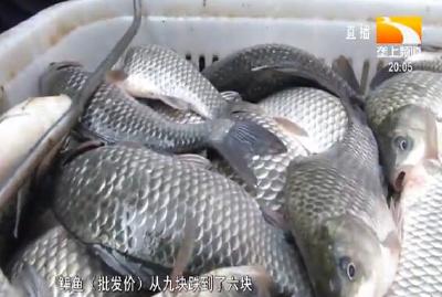 湖北市场鲜鱼价格止涨回落 九月有望更亲民