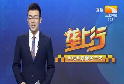 垄上行 2021-08-19