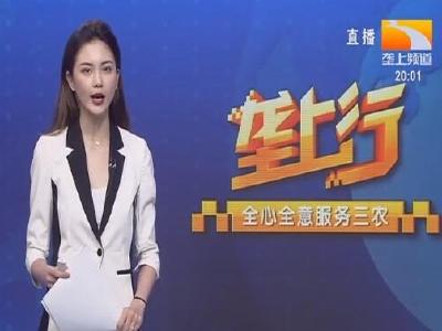 垄上行 2021-08-22