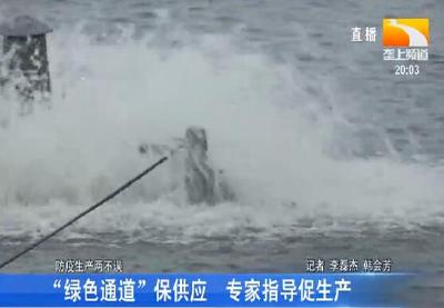 “绿色通道”保供应 专家指导促生产