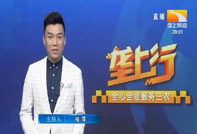 垄上行 2021-08-23