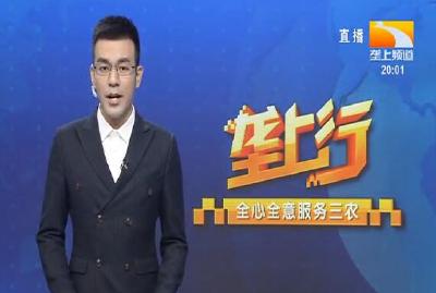 垄上行 2021-08-10