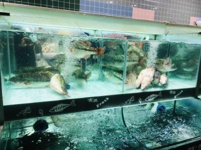 9月水产品市场供需及价格走势预测分析：水产品价格持平略跌