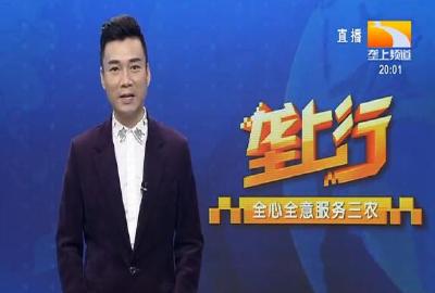 垄上行 2021-09-27