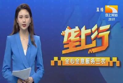 垄上行 2021-09-10