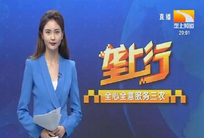 垄上行 2021-09-13